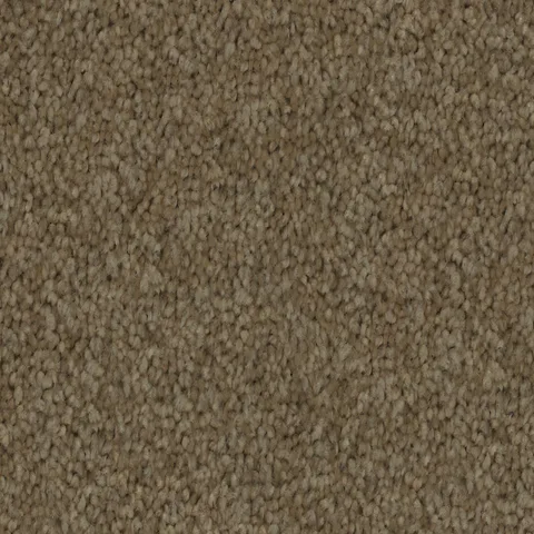 Acorn carpet swatch